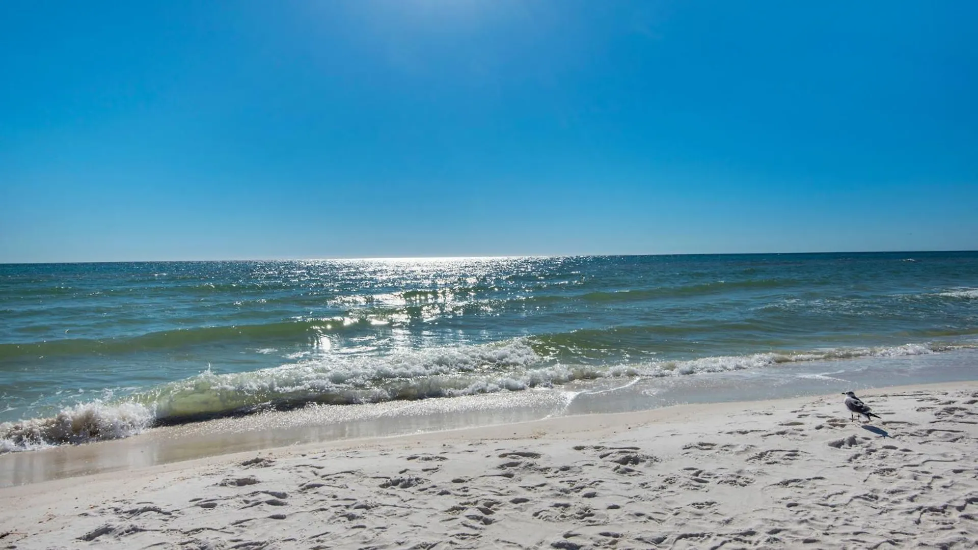 Shores Of Panama 1831 Panama City Beach United States